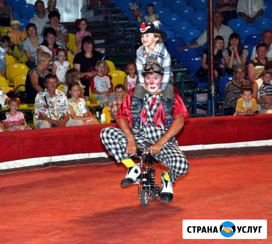Клоун на детский праздник Воскресенск - изображение 1