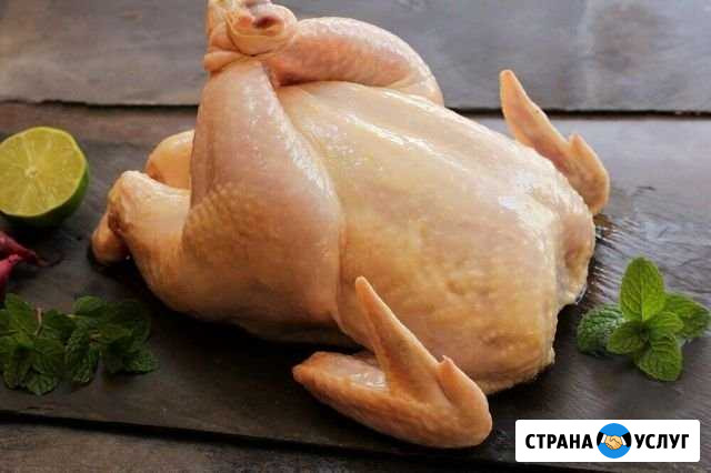 Домашнее мясо кур Бердск - изображение 1