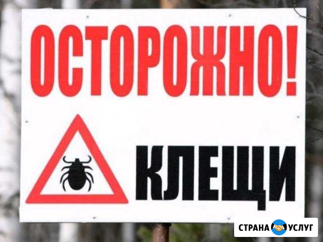 Обработка участка от клещей Рыбинск - изображение 1