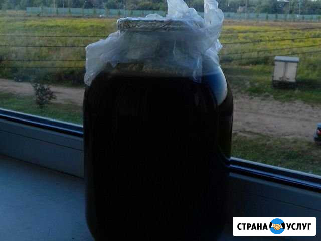 Продаю мед Щербинка - изображение 1