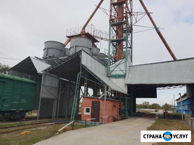 Услуги погрузки зерна в вагоны Новоалександровск - изображение 1