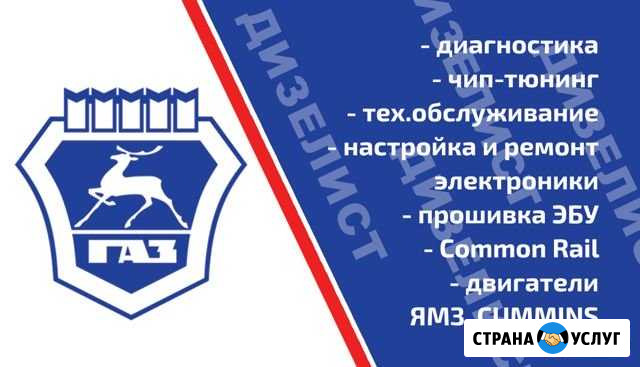 Дизельные Газели и Валдай. Диагностика и Ремонт Батайск - изображение 1