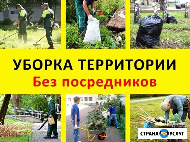 Уборка территории Москва - изображение 1