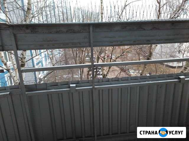 Защита от птиц Москва - изображение 1
