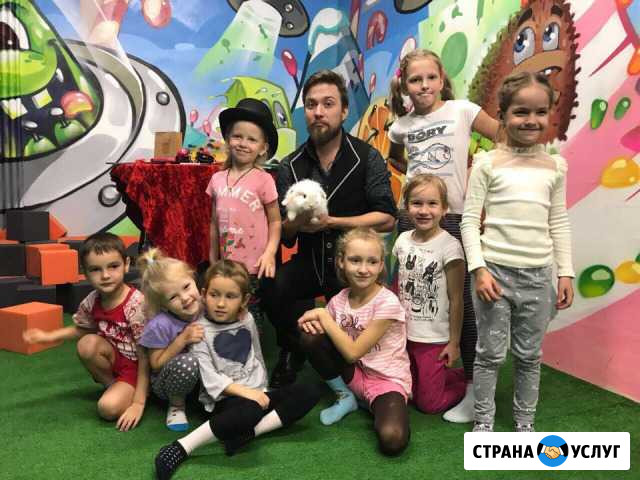 Волшебник для детей Феликс Ивачёв Горин - изображение 1