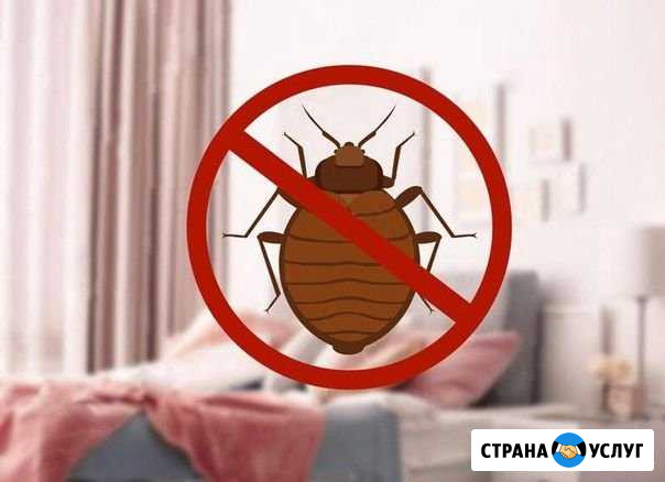 Дезинсексия,дезинфекция,фумигация.Гарантия Владимир - изображение 1