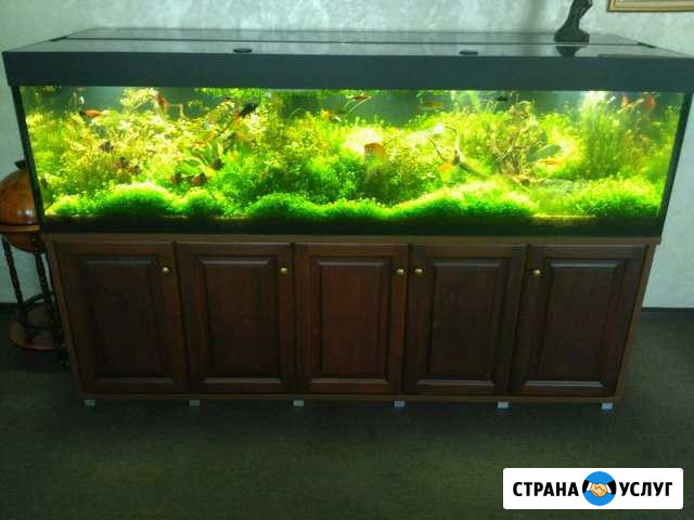 Уход за аквариумом Саранск - изображение 1