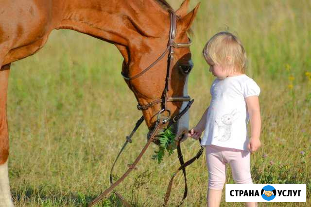 Фотосессия Владимир - изображение 1