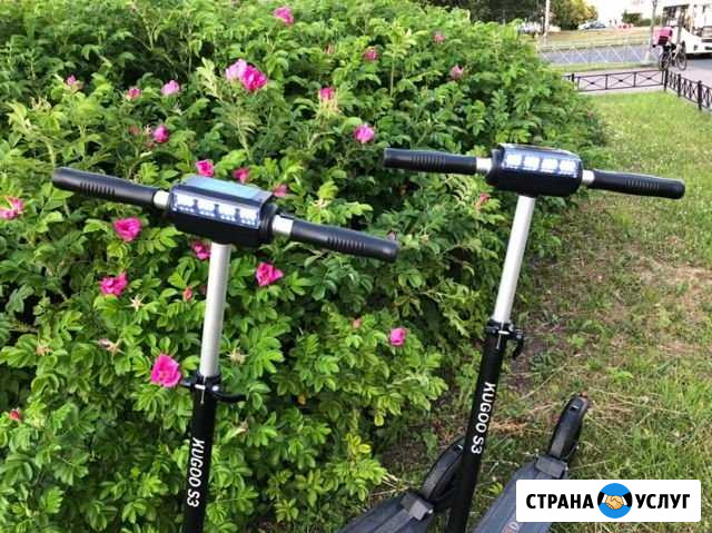 Прокат электросамоката Санкт-Петербург - изображение 1