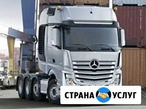 Диагностика Mercedes actros. axor Белово - изображение 1