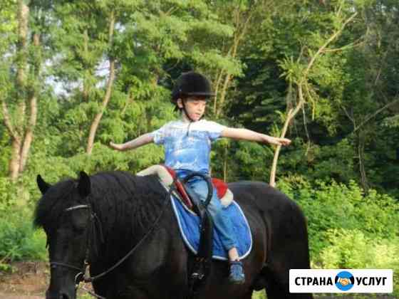 Иппотерапия Батайск