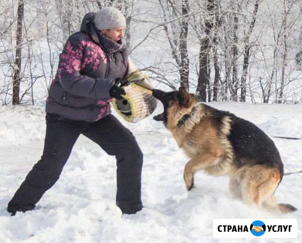 Дрессировка собак Новосибирск - изображение 1