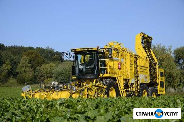 Техника для уборки и погрузки сахарной свеклы Курск - изображение 1