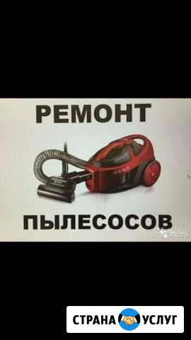 Ремонт пылесосов Новороссийск - изображение 1