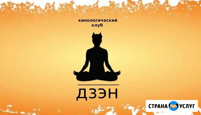 Дрессировка собак Краснодар - изображение 1