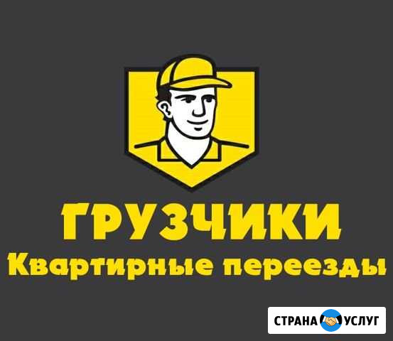 Переезды Грузчики Перевозка мебели Вывоз мусора Борисоглебск - изображение 1