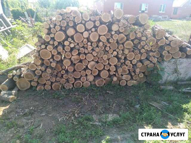 Дрова Оренбург - изображение 1