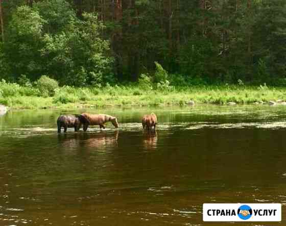 Покос травы Алапаевск