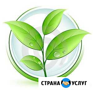 Репетитор по биологии Ставрополь - изображение 1