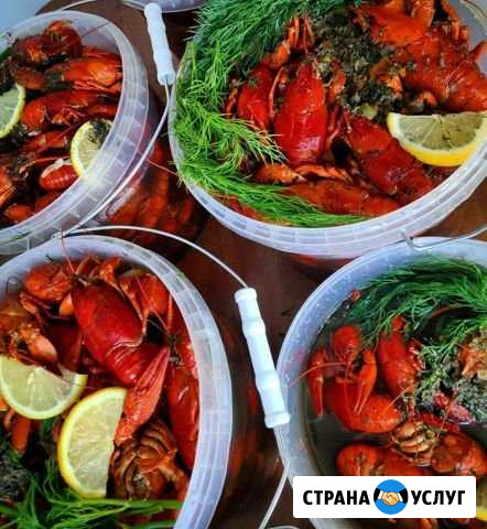 Раки живые/вареные Набережные Челны - изображение 1