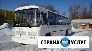 Заказ аренда автобусов паз разных пассажиромест Мурманск - изображение 1