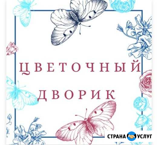 Графический дизайн Байкит - изображение 1