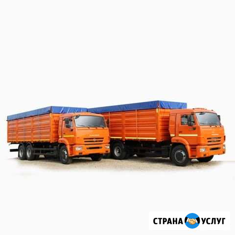 Перевозка подсолнечника и зерновых культур Плешаново - изображение 1