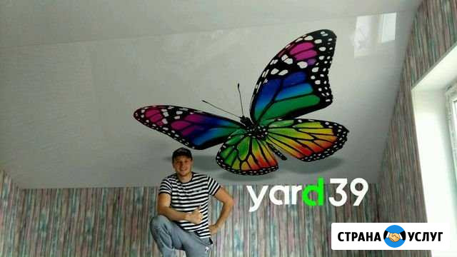 Натяжные потолки MSD Калининград - изображение 1