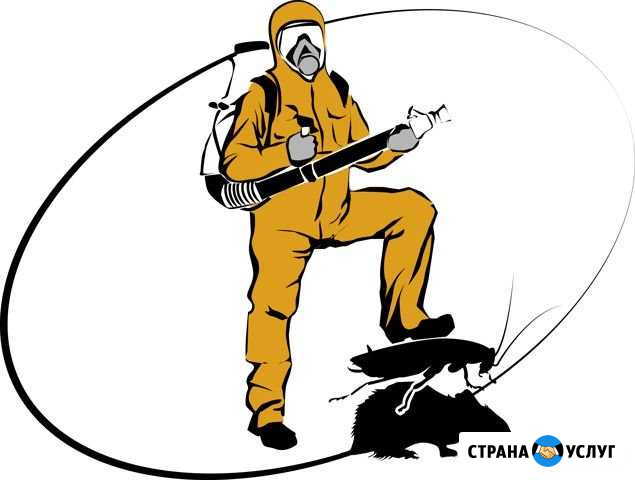 Обработка от Тараканов. Уничтожение клопов,клещей Саров - изображение 1