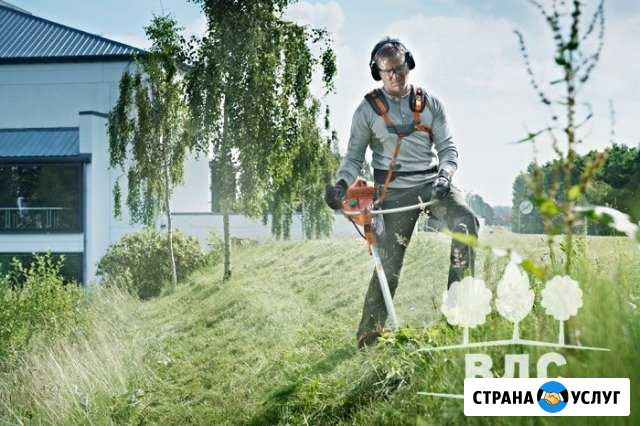 Покос травы и стрижка газона Вологда - изображение 1