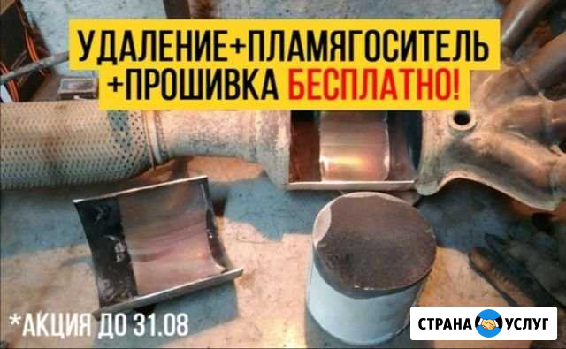 Бесплатное удаление катализатора с прошивкой Воронеж - изображение 1