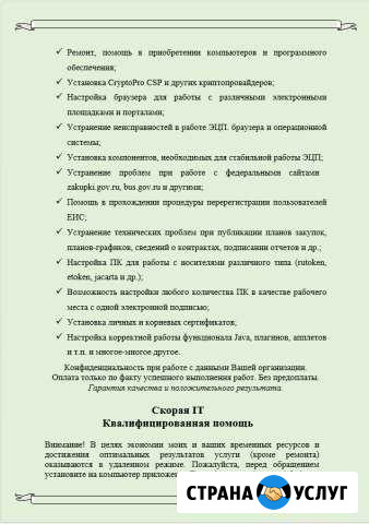 Квалифицированная IT скорая помощь Емельяново - изображение 1