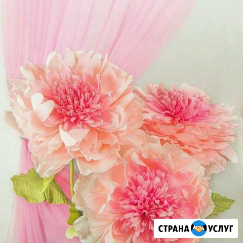 Ростовые цветы Санкт-Петербург - изображение 1
