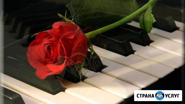 Настройщик фортепиано и роялей Песчанокопское - изображение 1