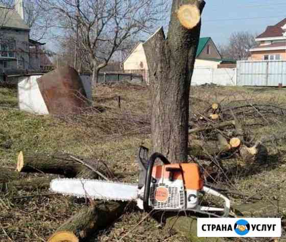 Спил деревьев и снос стен Старый Оскол