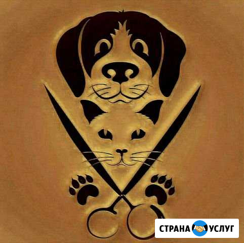 Стрижка Кошек с выездом на дом Обнинск - изображение 1