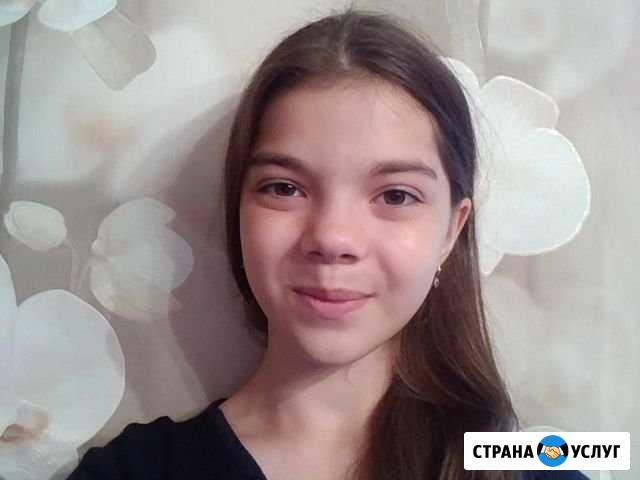 Передержка собак Санкт-Петербург - изображение 1
