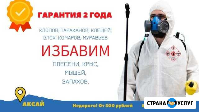 Уничтожение клопов, тараканов, комаров, грызунов Аксай - изображение 1