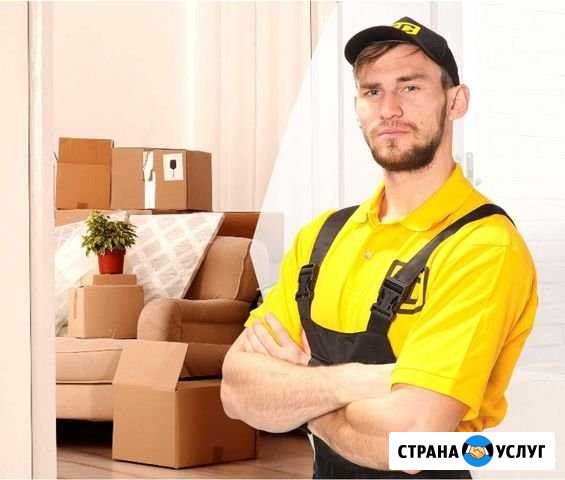 Грузчики, разнорабочие, подсобники Санкт-Петербург - изображение 1