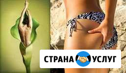 Курс-тренинг  Этетика тела (антицел. + водоросли) Санкт-Петербург - изображение 1