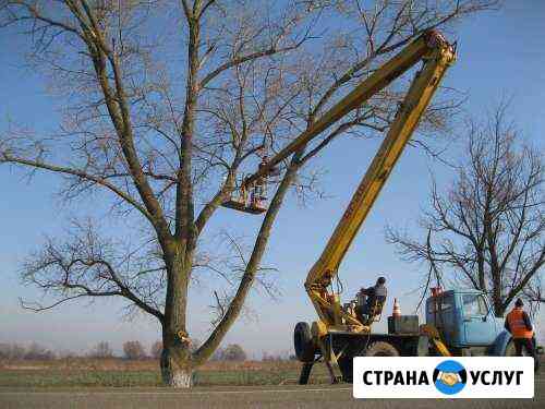 Опиловка, спилить дерево, спил, обрезка деревьев Астрахань