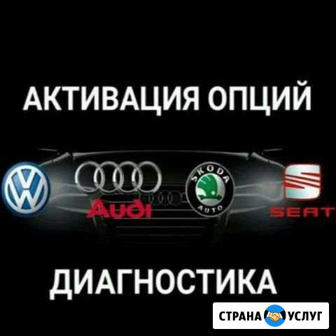 Диагностика VAG Котовск - изображение 1