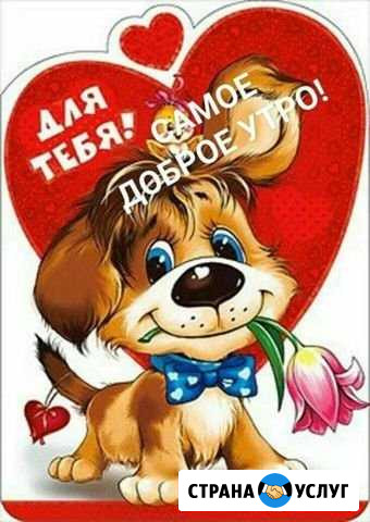 Клининг Волоколамск - изображение 1