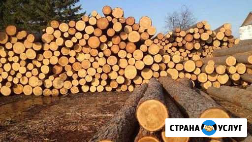 Лес 4500 Архангельск - изображение 1
