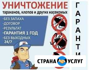 Уничтожение клопов, тараканов и муравьев Красноярск - изображение 1