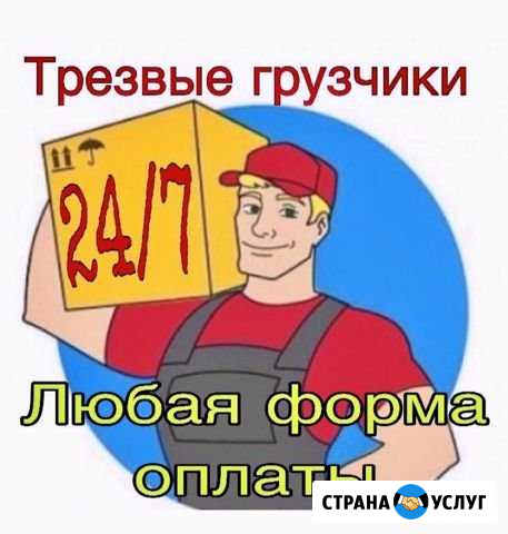 Грузчики Новосибирск - изображение 1