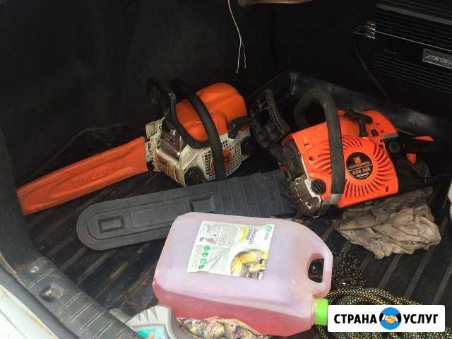 Пильщик Грозный - изображение 1