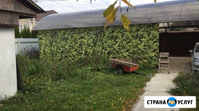 Производство баннеров, любая печать Москва - изображение 1