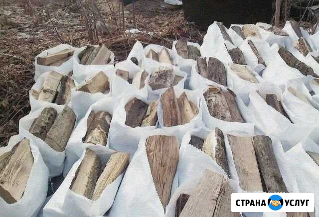 Дуб Старый Оскол - изображение 1