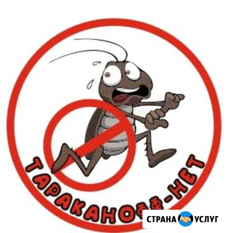 Уничтожение тараканов, травля клопов,комаров Балаково - изображение 1